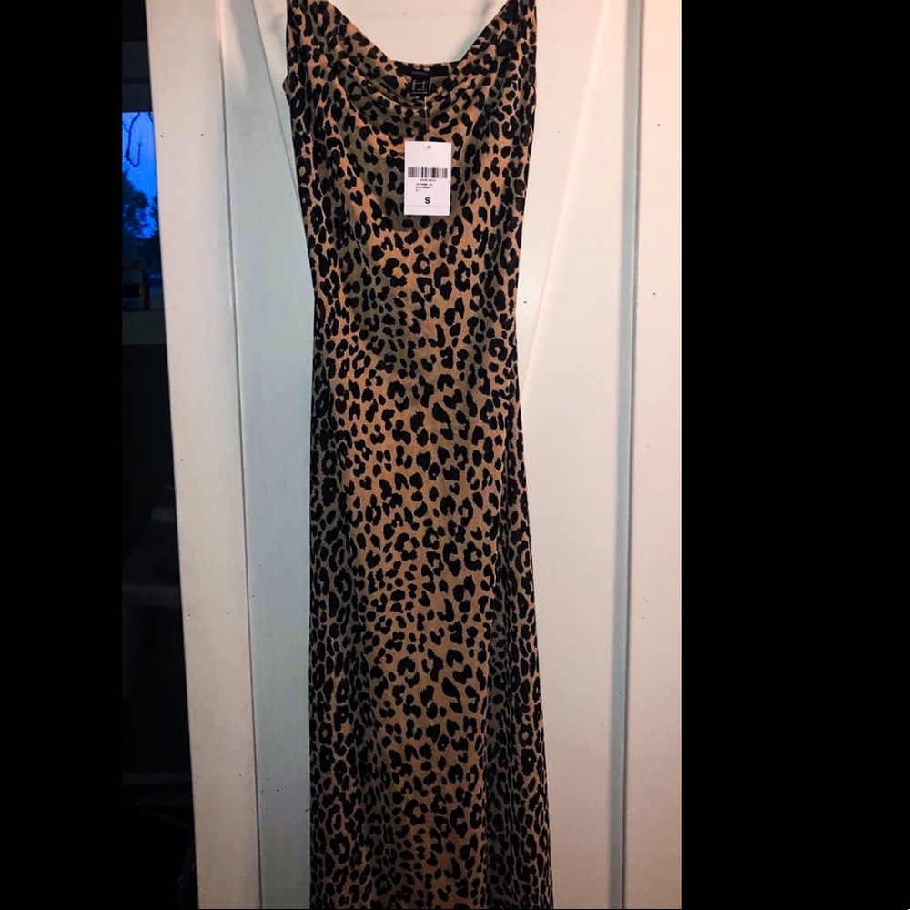Forever 21 Mesh Dress (needs slip)